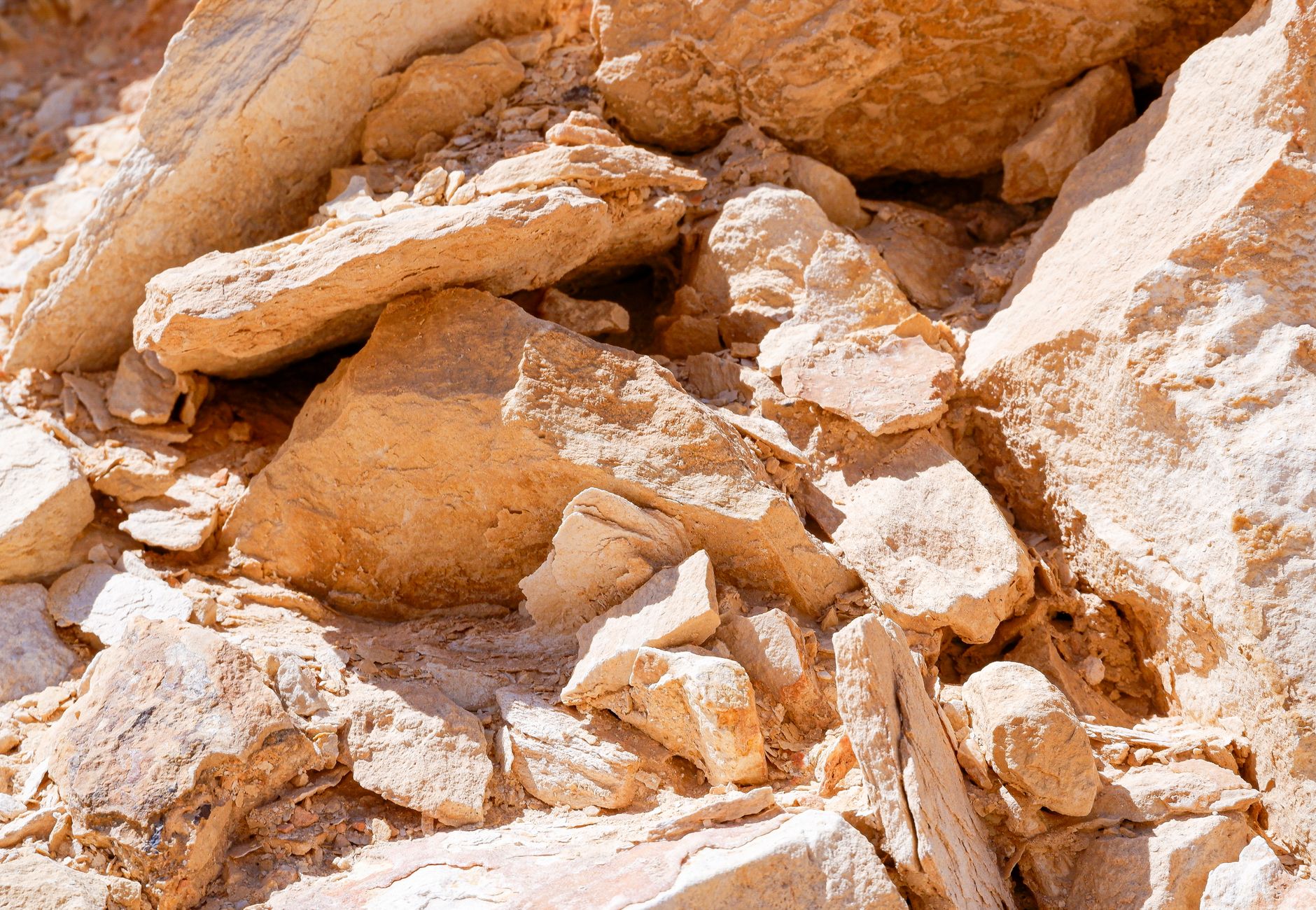 Detailed close-up of beige rocks displaying natural textures and patterns in bright sunlight.
