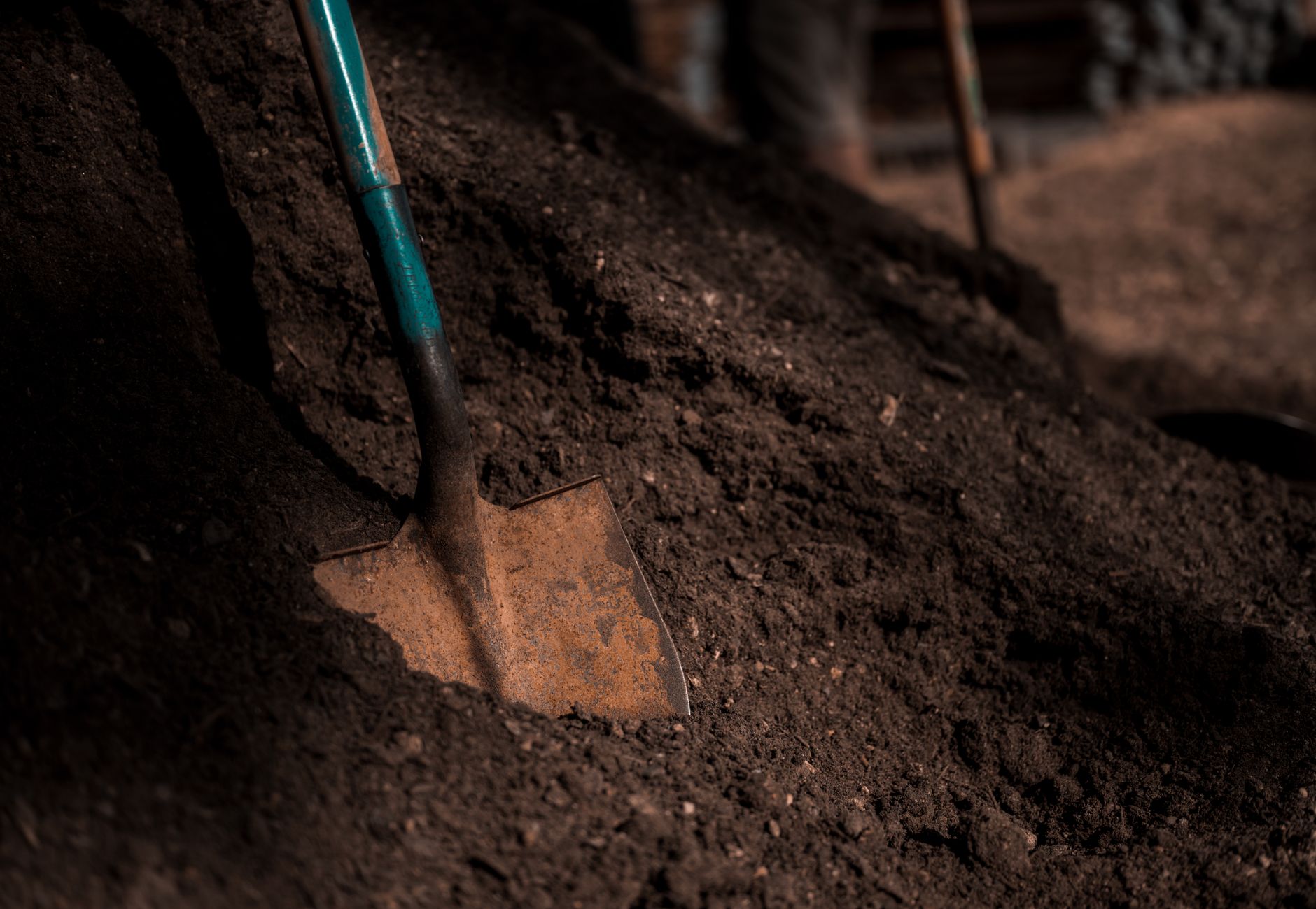 Shovel embedded in dark soil, showcasing texture and gardening tools.