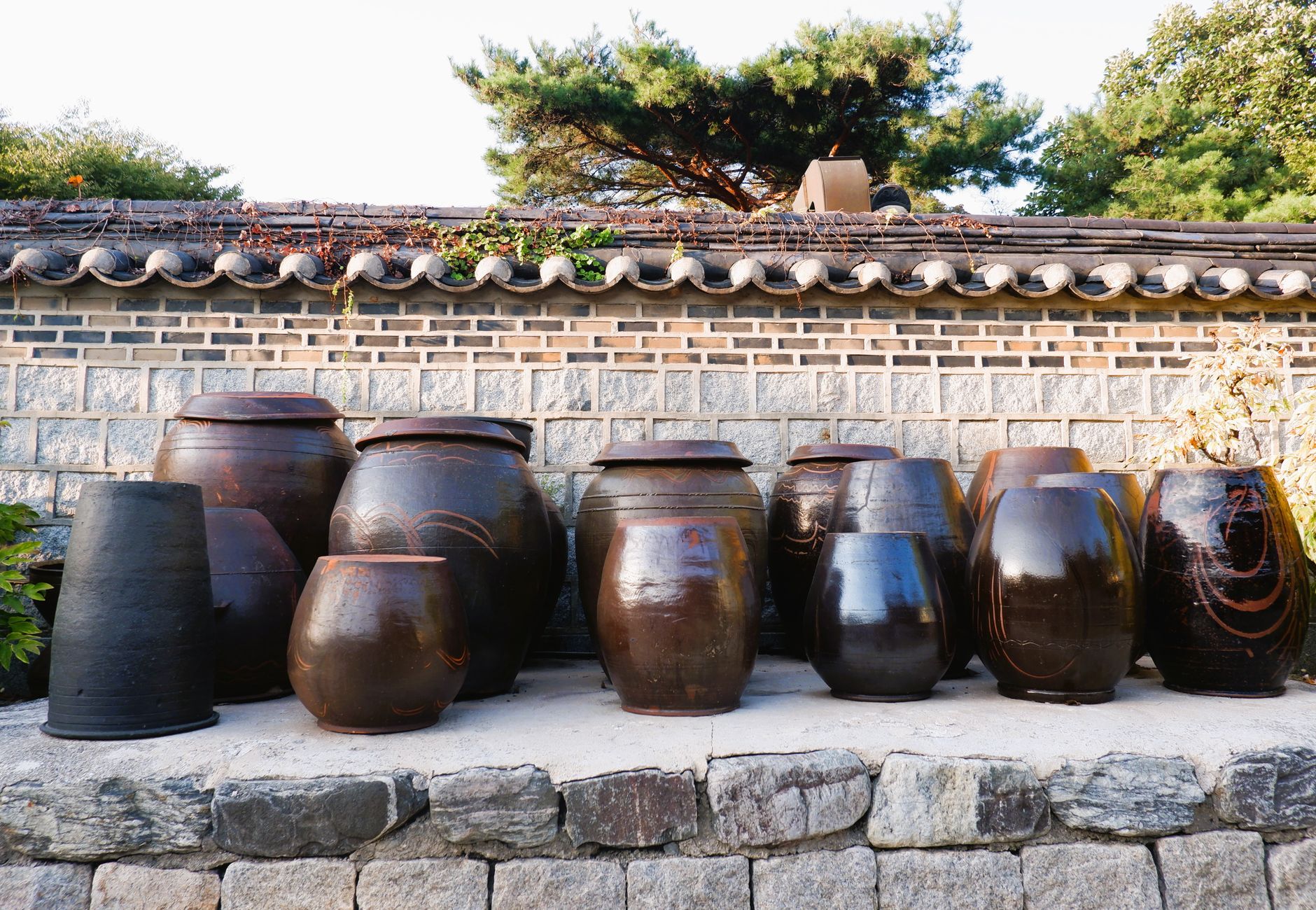 Row of traditional Korean onggi jars set against a stone wall in natural light.
