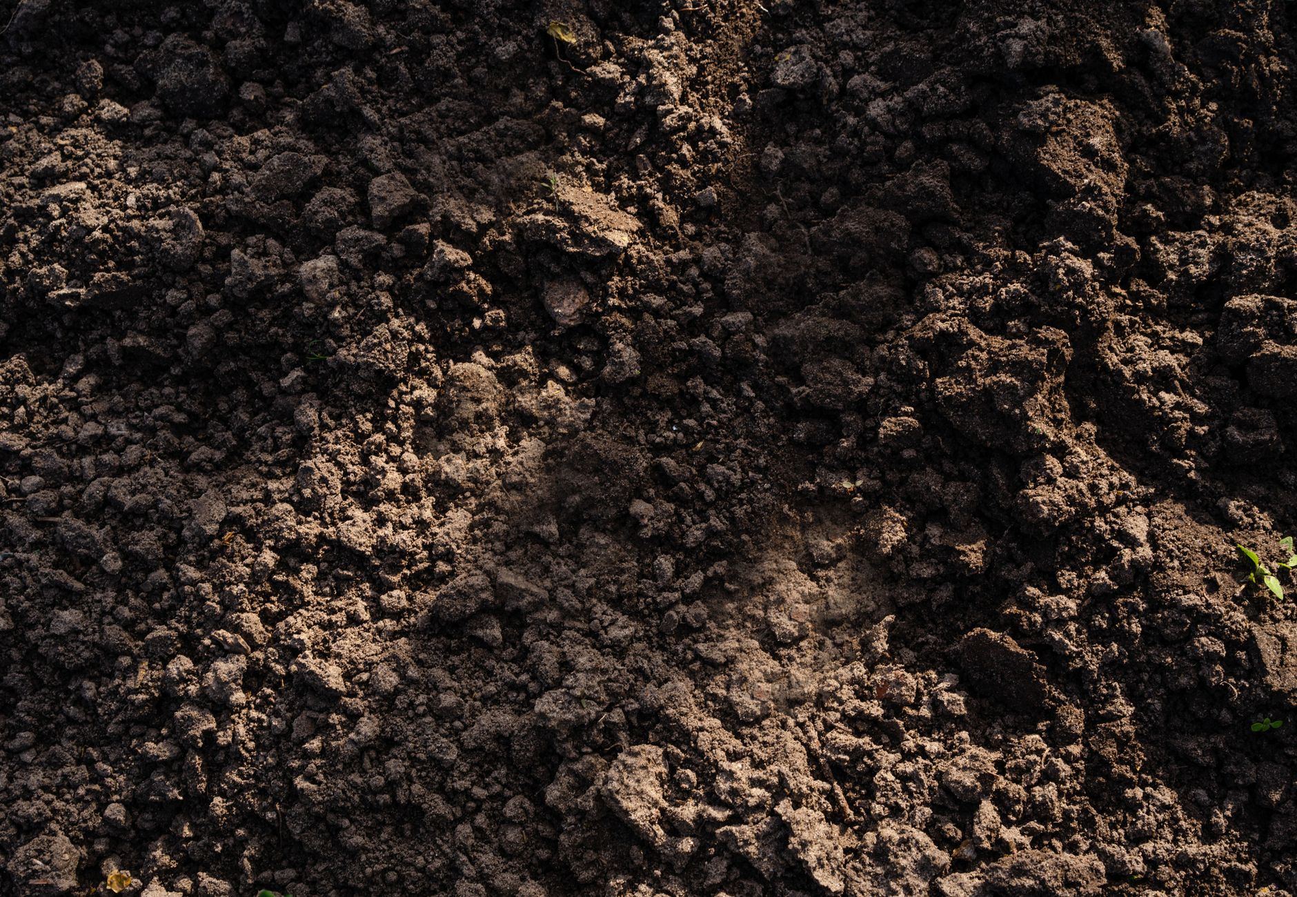 Detailed view of freshly tilled soil, perfect for planting in agriculture and gardening.